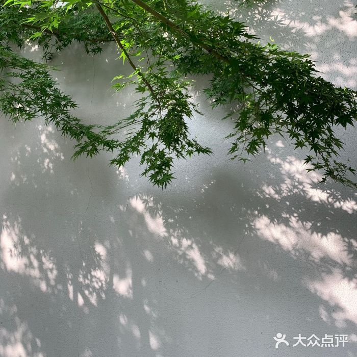 得丘礼享谷·玉兰苑图片