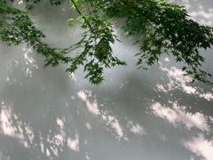 -得丘礼享谷·玉兰苑