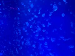 -福州罗源湾海洋世界旅游区
