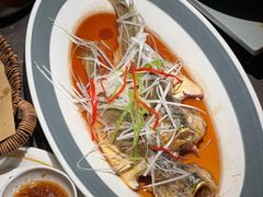 -前海沿·青岛菜(大拇指广场石老人店)