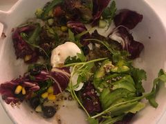 -百好乐宠物友好餐厅(朝外大街店)