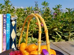 -大隐花事(熊婆婆的花园店)