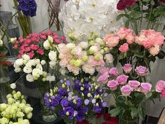 -Flower in(密渡桥店)