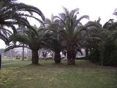 DSCF3371-白鹭洲公园