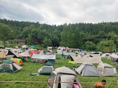 -武陵山森林公园