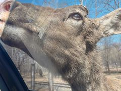 -秦皇岛野生动物园