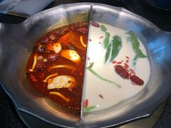台式麻辣花胶鸡鸳鸯锅-湊湊火锅·茶憩(世博大道店)