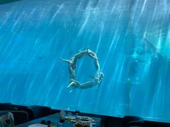 -瑞德姆美人鱼海底演艺主题餐厅(亚龙湾店)