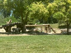 -北京野生动物园