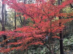 -吴山景区
