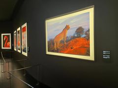 -罗红摄影艺术馆