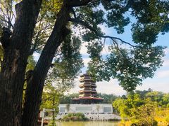 -八仙山公园