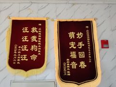 -宠颐生贝利健动物医院(谢家湾分院)
