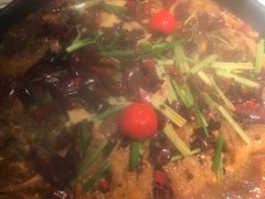 -老板恋上鱼(印象城店)