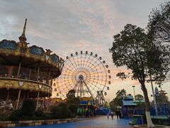 -洋湖国家湿地公园