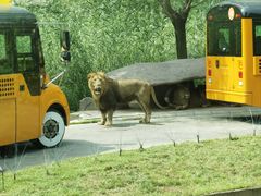 -北京野生动物园