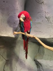 -Zoolung Zoolung动物主题公园(海信广场店)