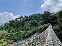-南丹山森林王国
