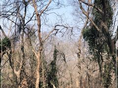 -大蜀山国家森林公园