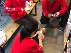 -PETKIT小佩宠物(古北店)