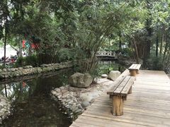 -成都市活水公园