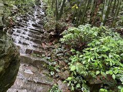 -莫干山风景区