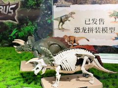 -陕西自然博物馆