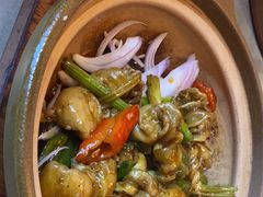 -张家卫·阳江菜·小海鲜(肥婆湾桥店)