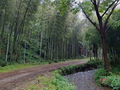 -黄公望隐居地