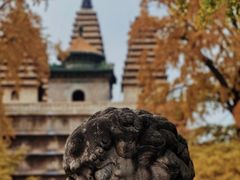 -北京石刻艺术博物馆(五塔寺)