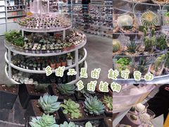 -KKV(深圳kk one 店)