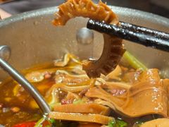 -蘑界·野生菌火锅(深业上城店)