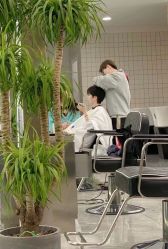 -Coo Hair salon