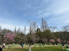 -杭州植物园