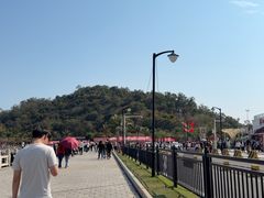 -野狸岛