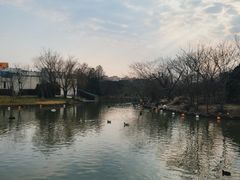 -上海野生动物园