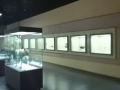 -广西壮族自治区博物馆