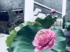 -福州市仓山小学