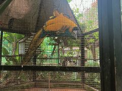 -海南热带野生动植物园