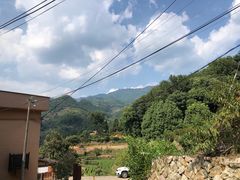 -杨家堂村