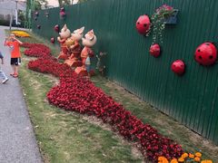 -菊园百果园