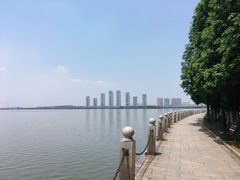 -燕鸣岛