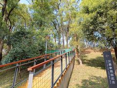 -马王堆汉墓遗址