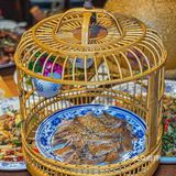 重庆人均40江湖菜馆🔥辣子鸡巨巨巨过瘾