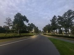 -南汇新城城市公园