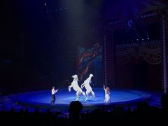 -珠海横琴长隆《卡卡虎奇遇记》