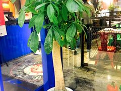 -美滋滋尚鱼烤鱼餐厅(空港店)