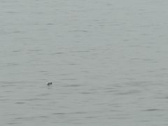 -炭舍干锅·烤鱼(扬名广场店)