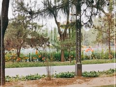 -南宫五洲植物乐园