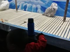 -成都浩海立方海洋公园